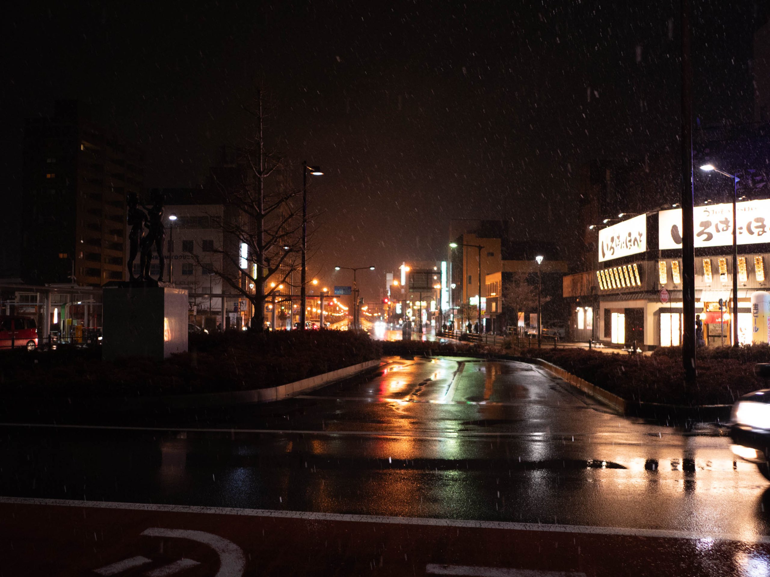 ひたちなか　雪　250308 (1 - 1)